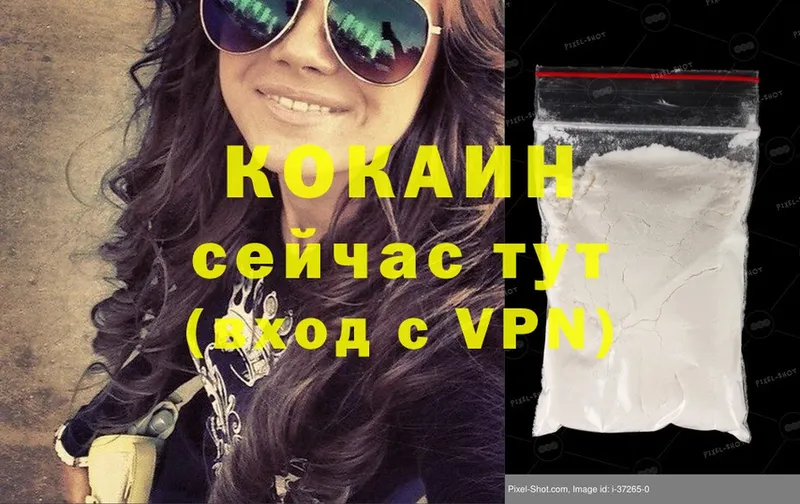 Cocaine 99%  ссылка на мегу рабочий сайт  Заречный  закладки 